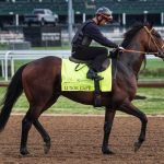 How to bet $100 on 2025 Kentucky Derby