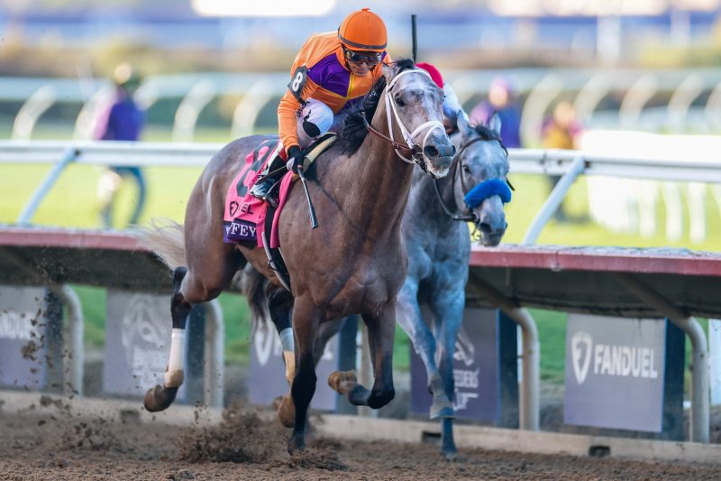 Breeders’ Cup results: Winners and prize payouts from Friday’s races